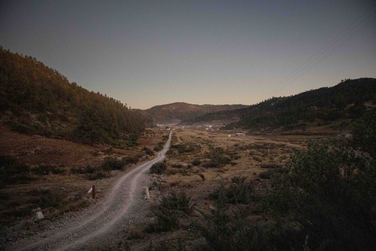 Guatemala Origin Trip Coffee