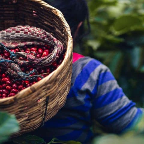 El Salvador La Esperanza