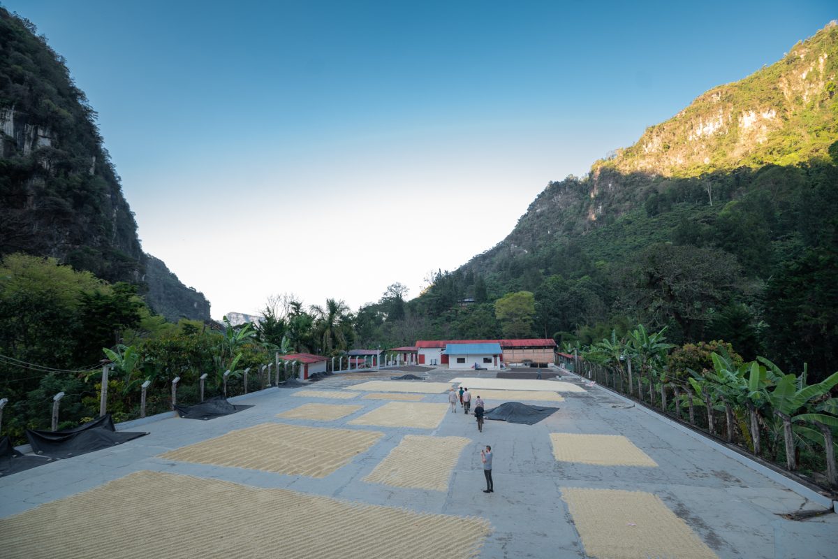 Coffee Patio in Guatemala