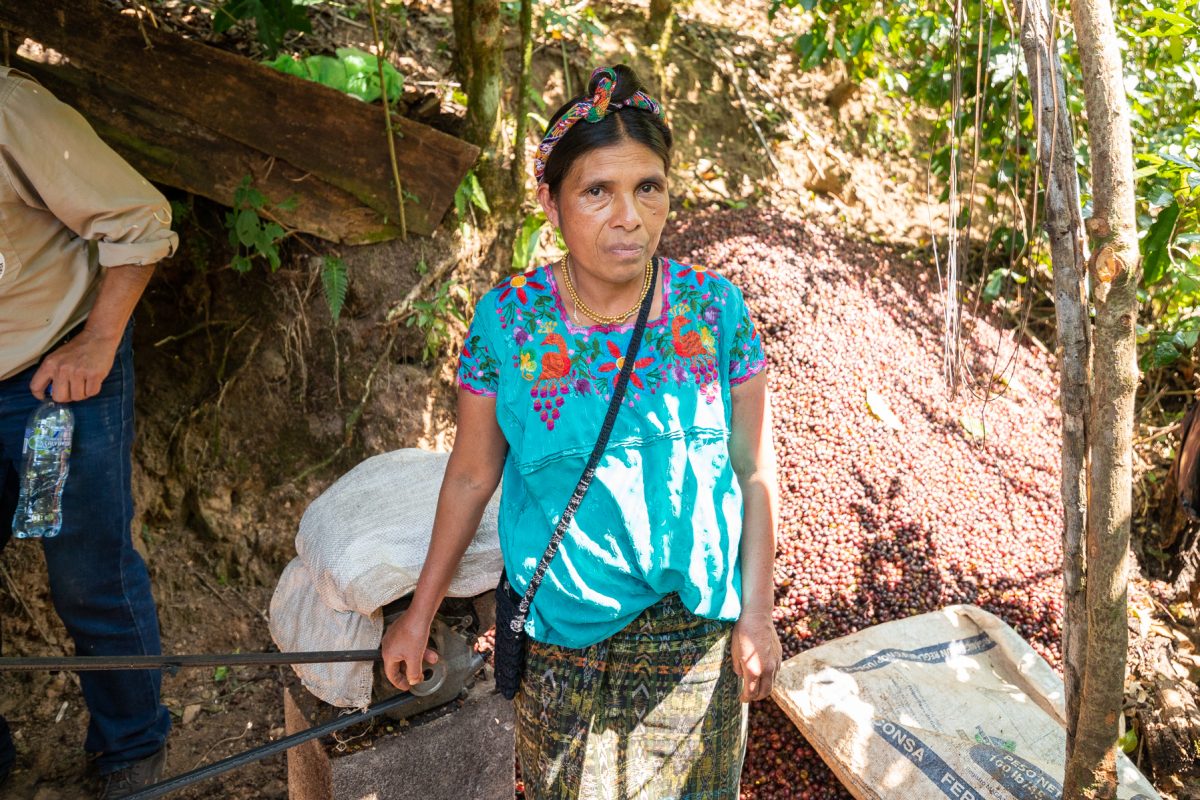 Guatemalan Coffee Farm Worker