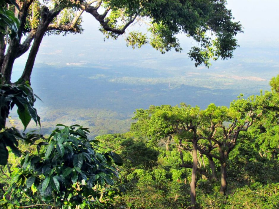 Your Purchase Makes A Positive Impact This Earth Day